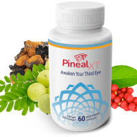 pineal xt